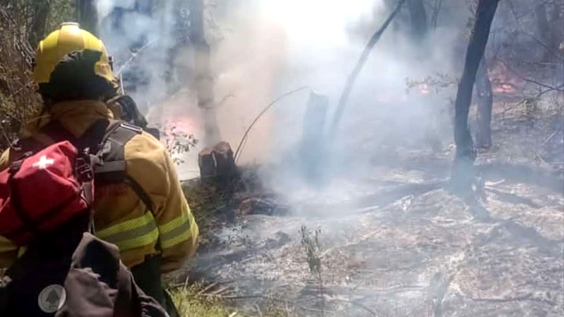 El incendio en el Parque Nacional Los Alerces ya consumió casi 2.000 hectáreas de bosque nativo portada