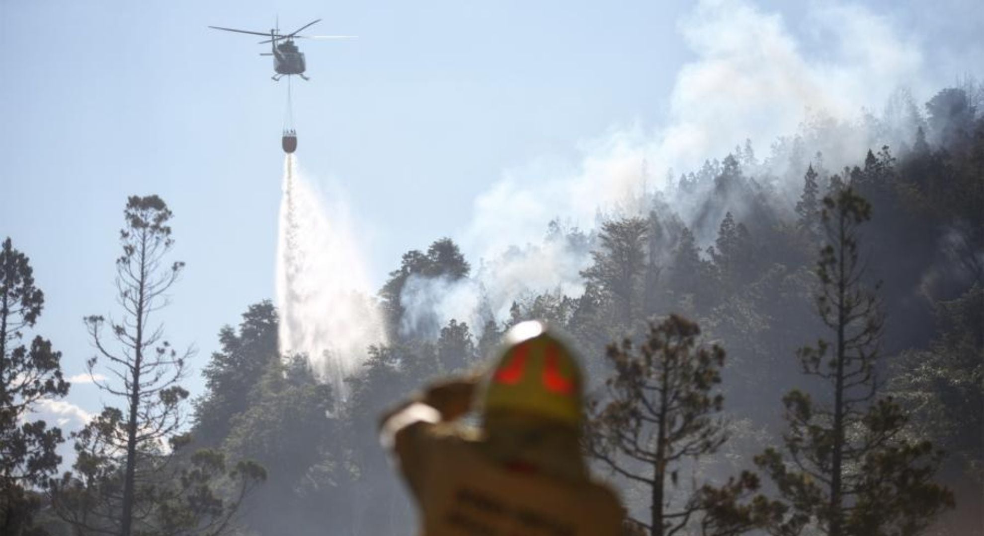 incendio forestal en Parque Nacional Los Alerces
