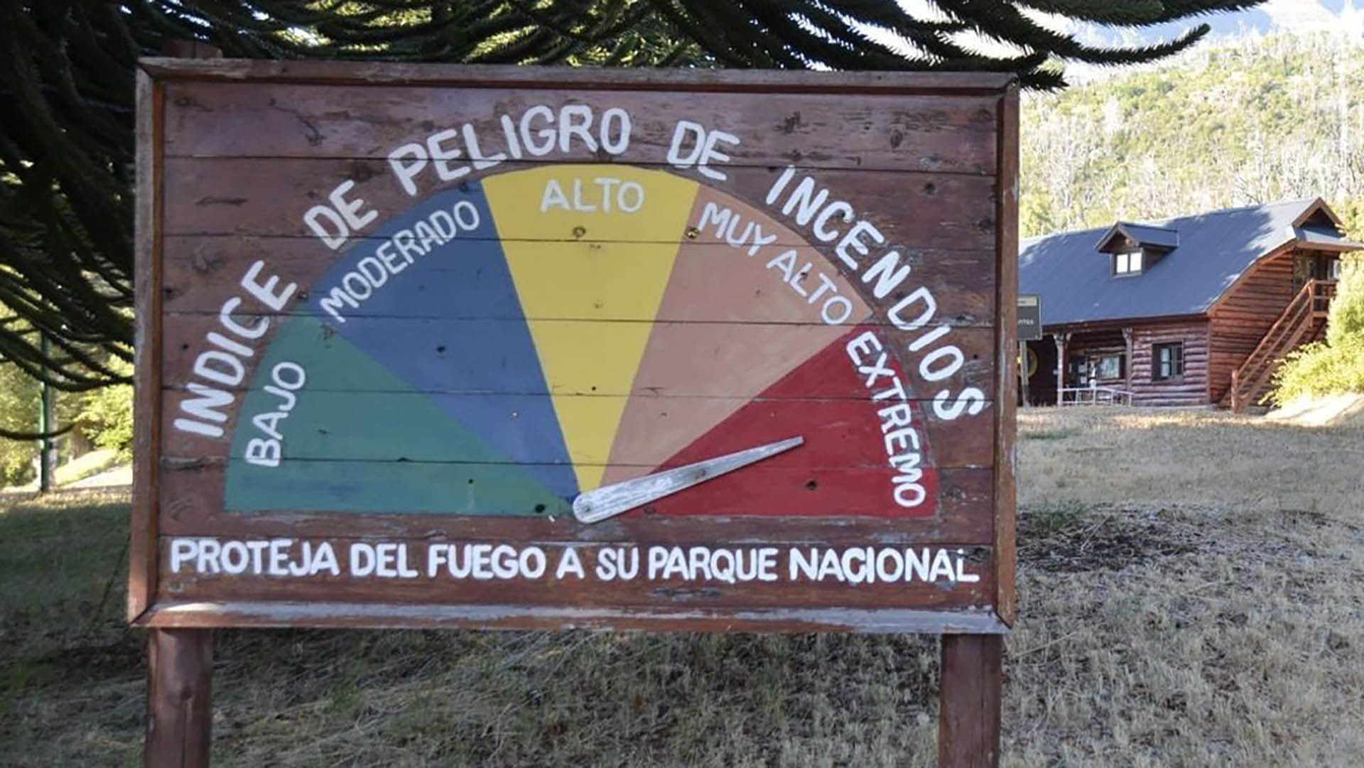 El incendio en el Parque Nacional Los Alerces ya consumió más de 3.100 hectáreas de bosque nativo