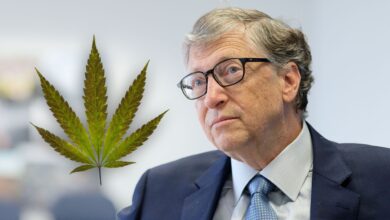 Photo of Bill Gates confesó que consumió marihuana cuando era ilegal, esta es la historia