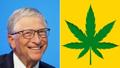 Photo of Bill Gates se confiesa sobre el cannabis: sus amigos fumaban porque era una “forma de rebelión”