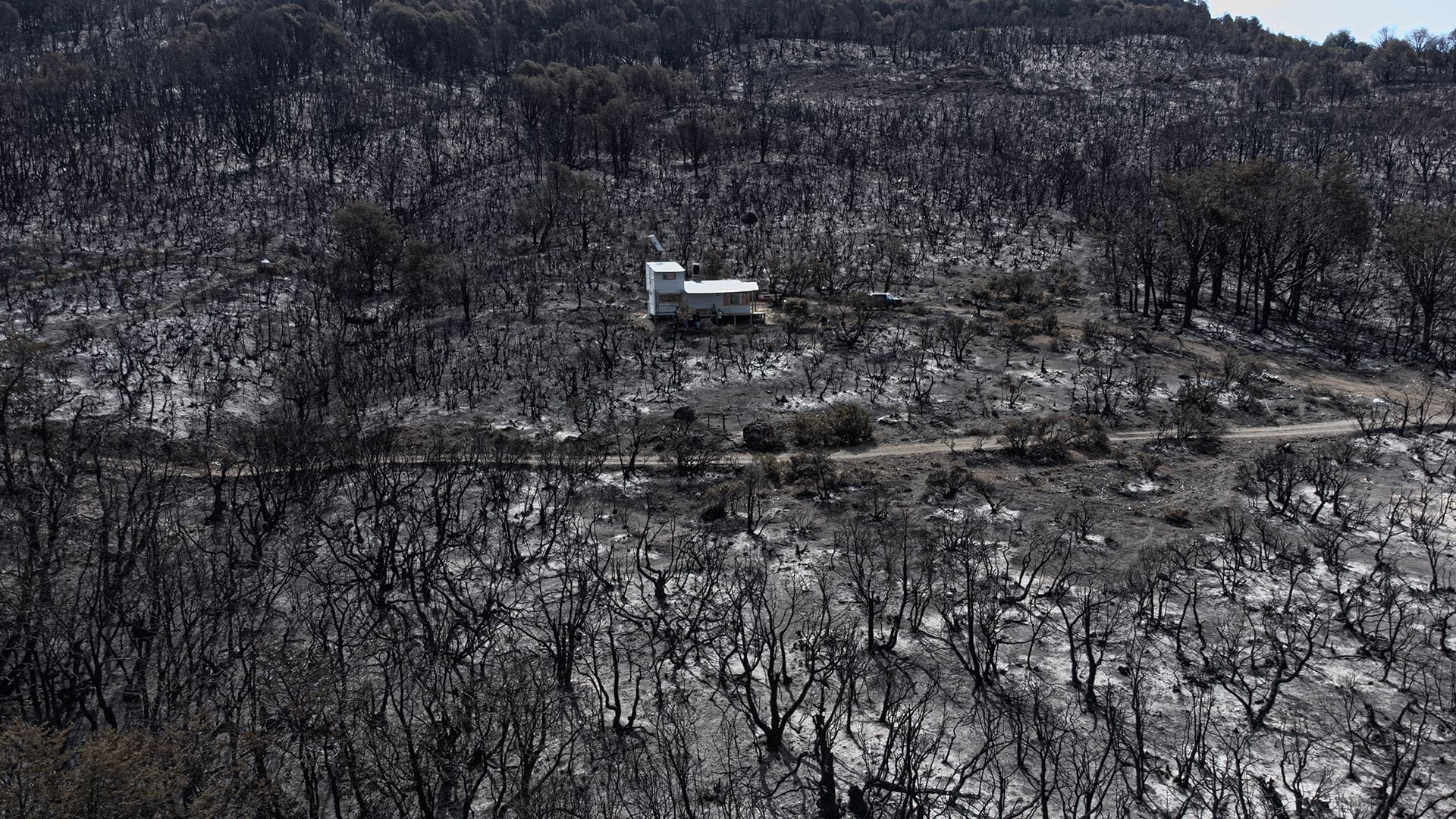 Incendio Chubut Alto Río Percy