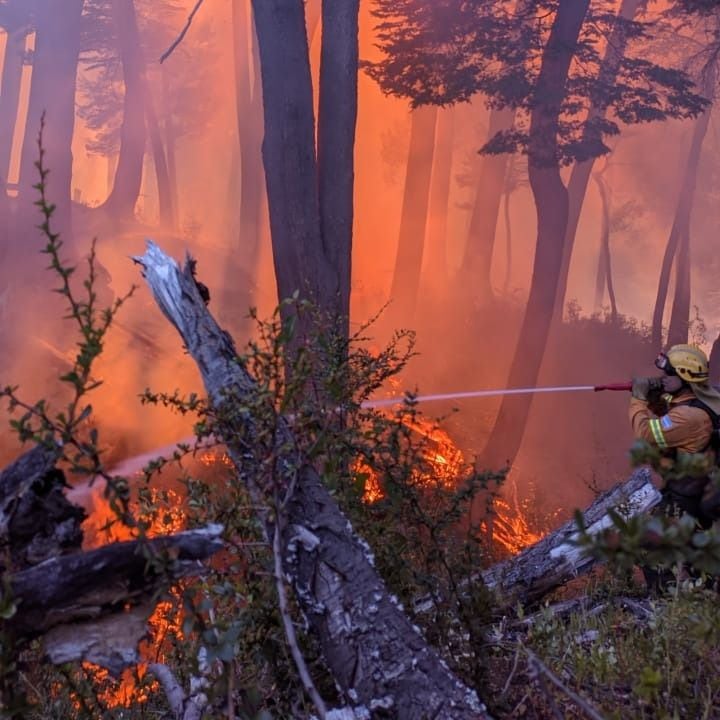 El incendio en Parque Nacional Los Alerces ya consumió más de 7.800 hectáreas de bosque