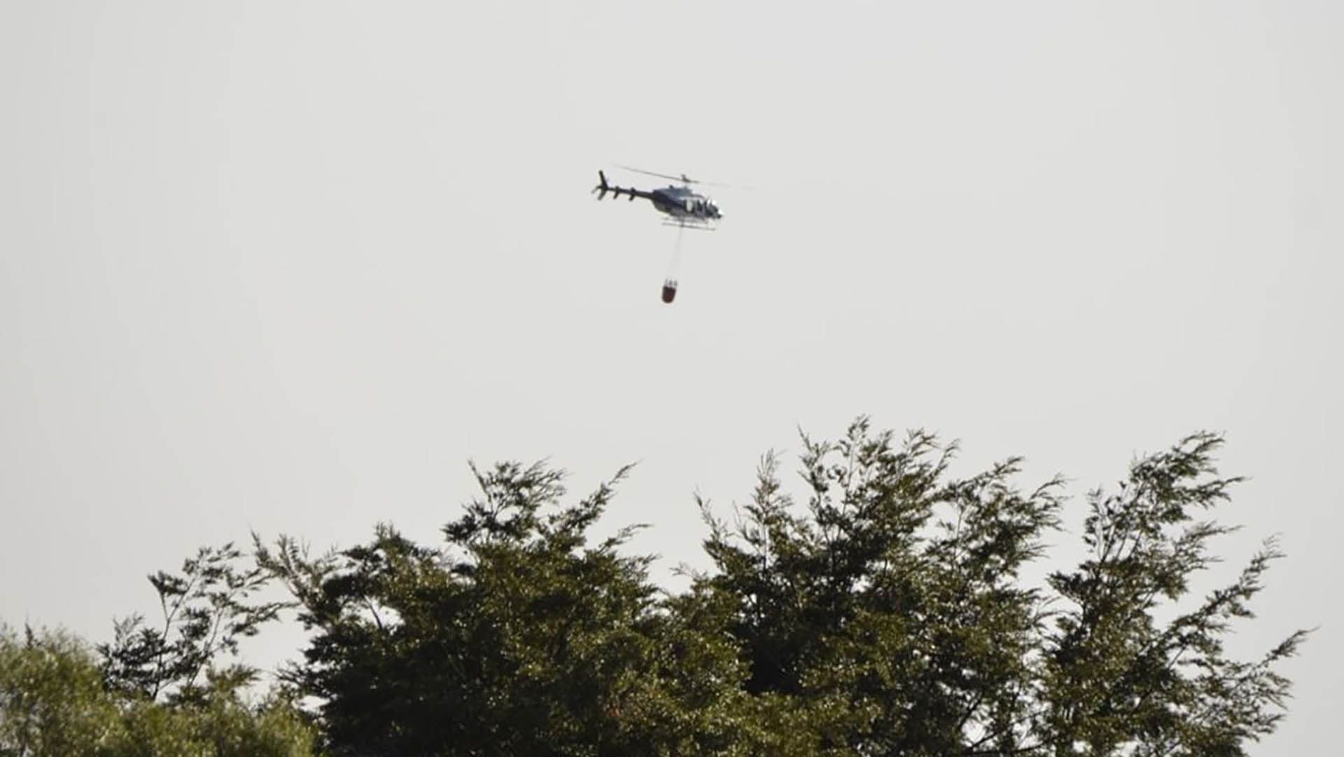 El incendio en el Parque Nacional Los Alerces ya consumió más de 3.100 hectáreas de bosque nativo