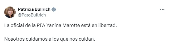 tuit patricia bullrich