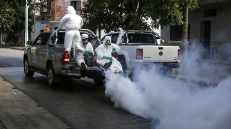 fumigaciones por dengue