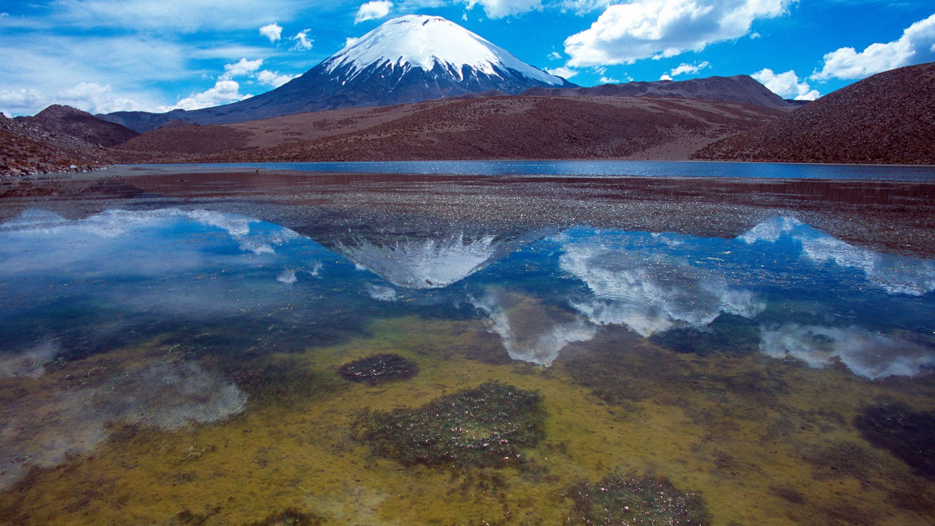 Volcán Ojos del Salado