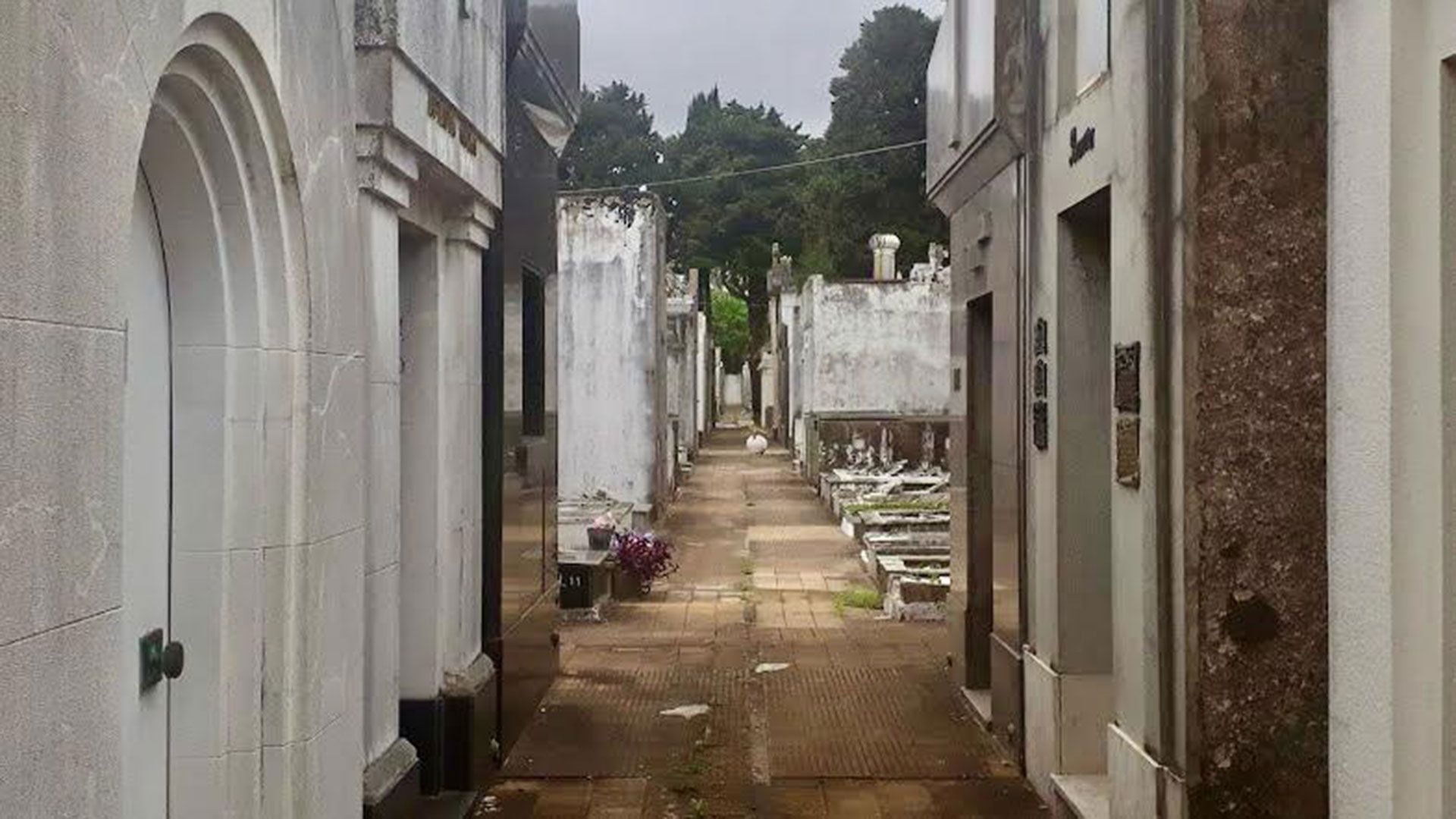 Robo masivo de bronces y cruces en el Cementerio de Olivos