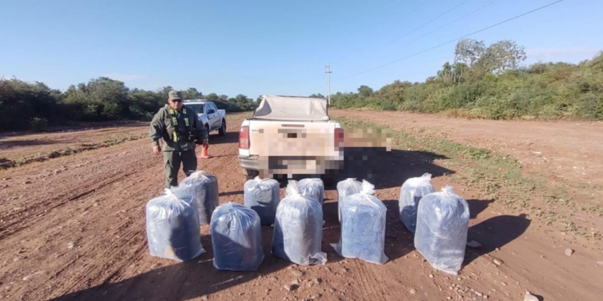 Gendarmería decomisó 258 kilos de hojas de coca en tres procedimientos realizados en Chaco y Formosa (GNA)