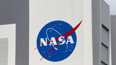 Photo of NASA crea el puesto de director de inteligencia artificial, por orden de Joe Biden