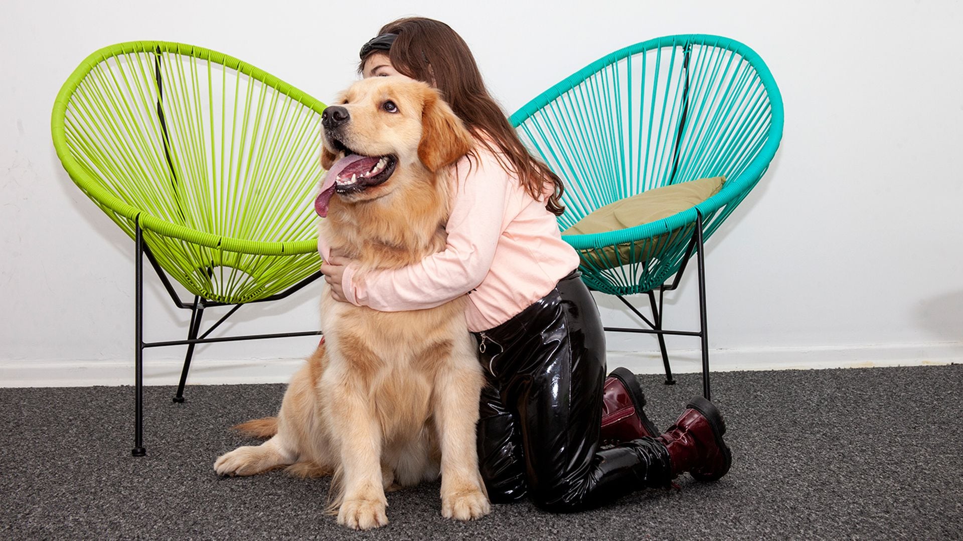 Perros Ministerio Público Tutelar