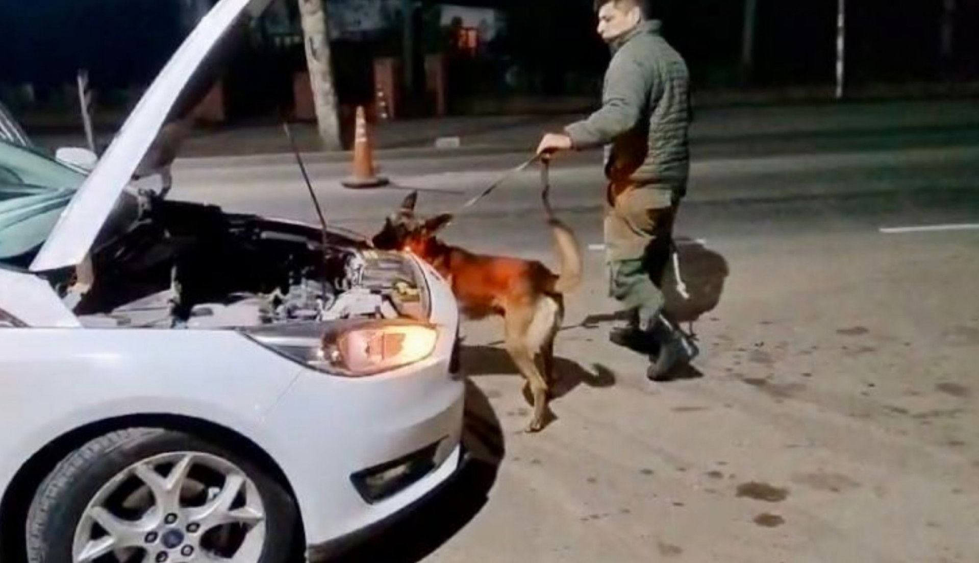 Con la ayuda de un perro antinarcótico, Gendarmería descubrió más de 4 kilos de cocaína en el techo de un auto en Salta (GNA)