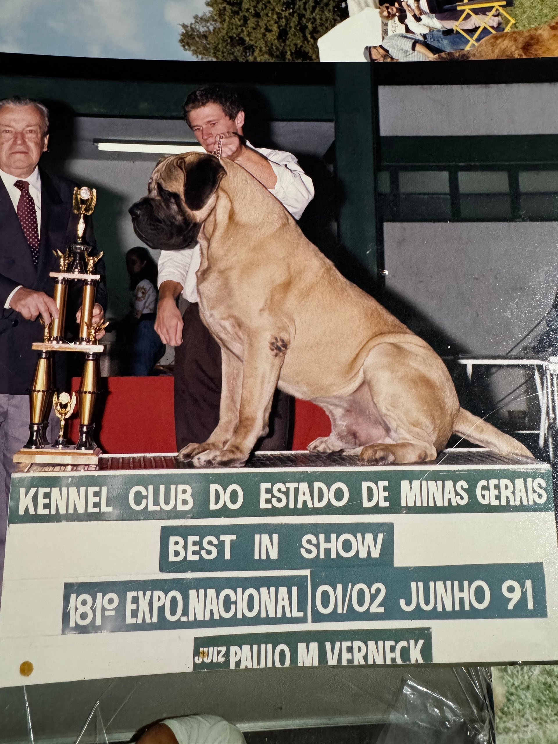 Escuela Canina Leonardo Tiscornia