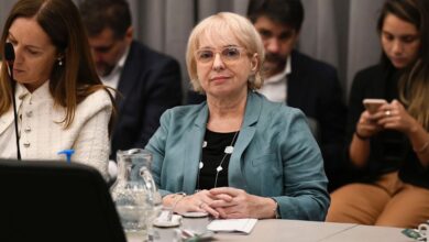 Photo of El fuerte discurso de Silvana Giudici contra Alberto Fernández: “Venía a terminar con el patriarcado y cagaba a trompadas a la mujer”