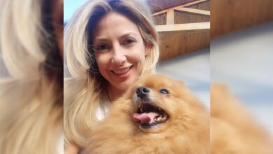 Photo of Calabaza, el perro que Fabiola Yañez regaló por presión de Alberto Fernández