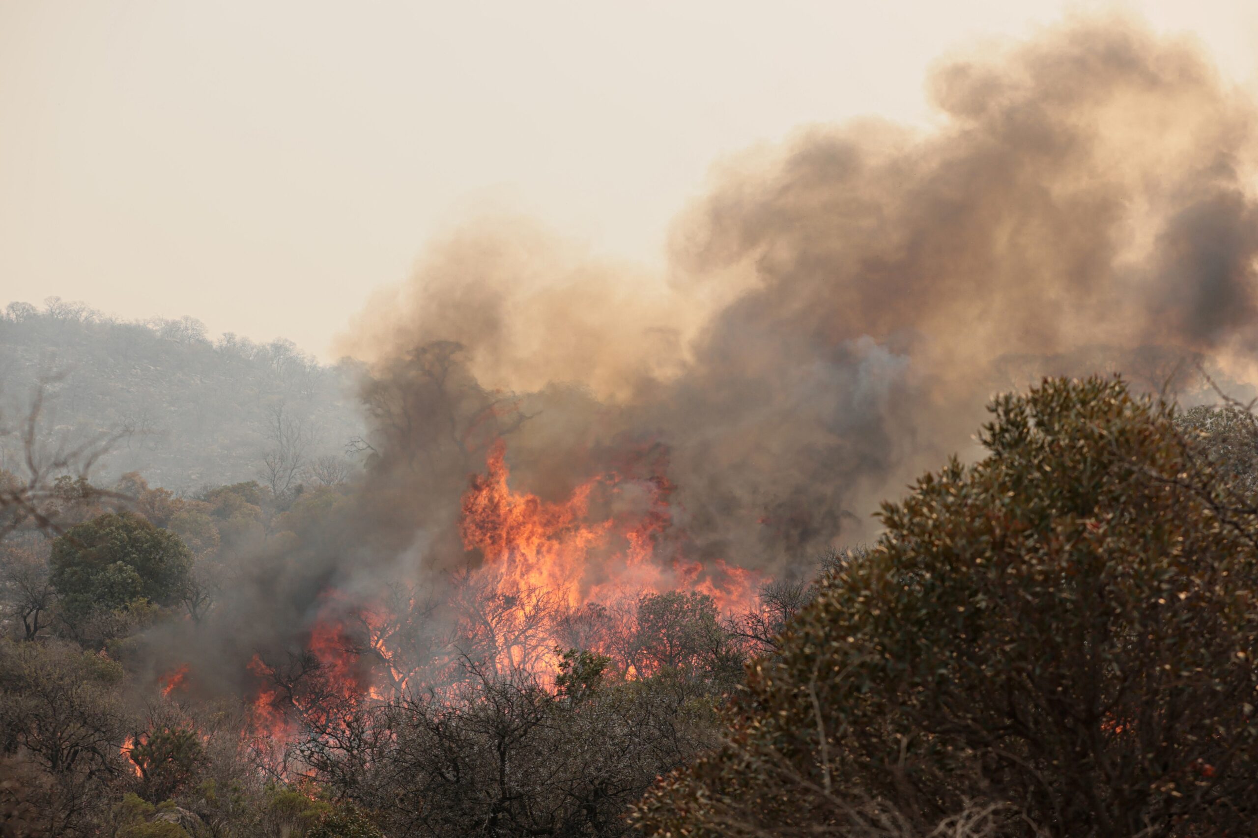 incendios en cordoba