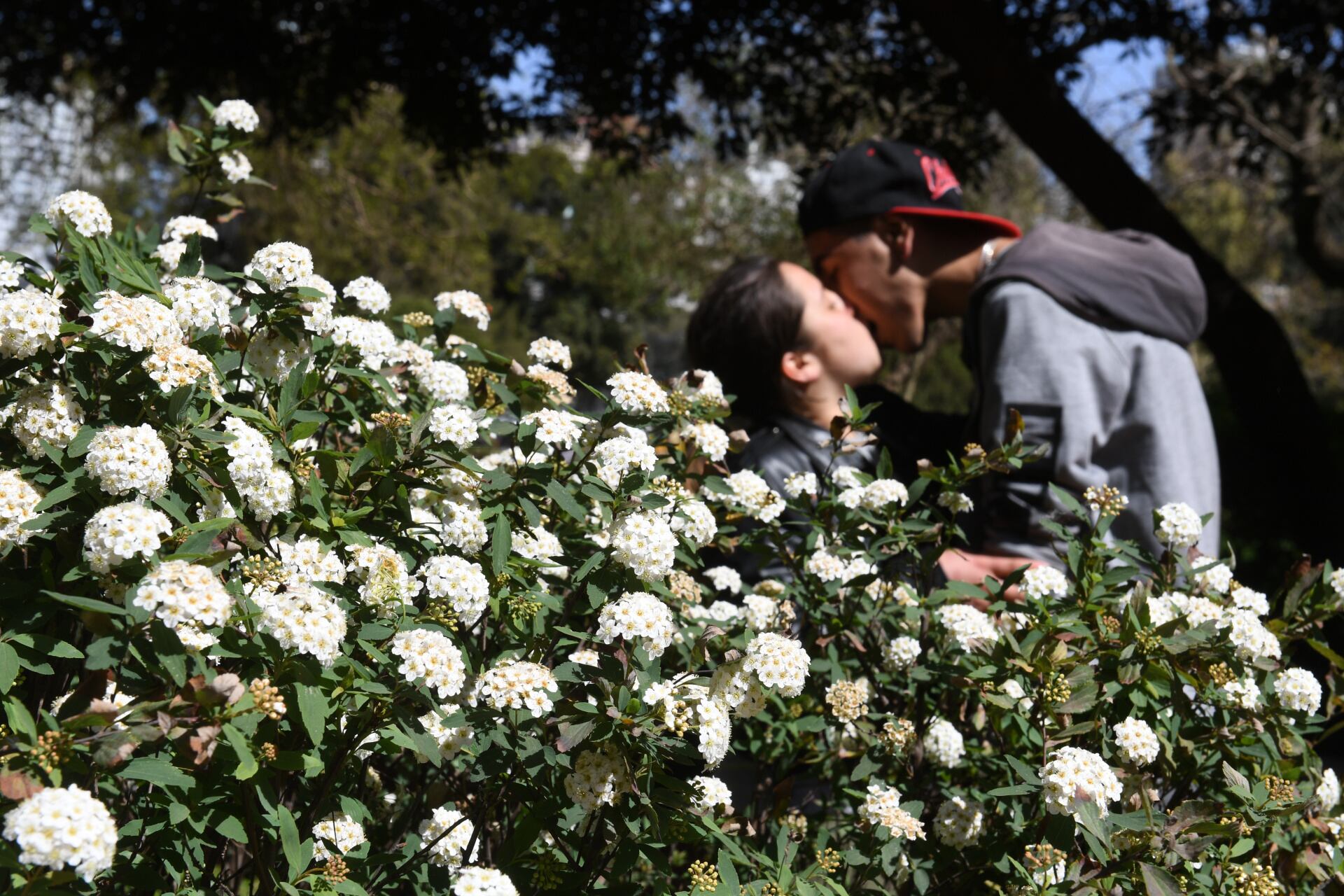 La llegada de la primavera, con su rebrotes de flores y la mejora de las temperaturas, se celebra en Argentina el 21 de septiembre (Maximiliano Luna)