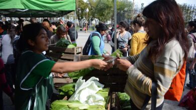 Photo of El Gobierno dio de baja a 62.000 beneficiarios del Monotributo Social: había fallecidos y personas con trabajo registrado